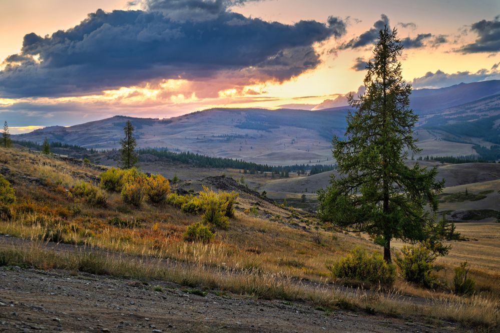 Photograph by Andrey
