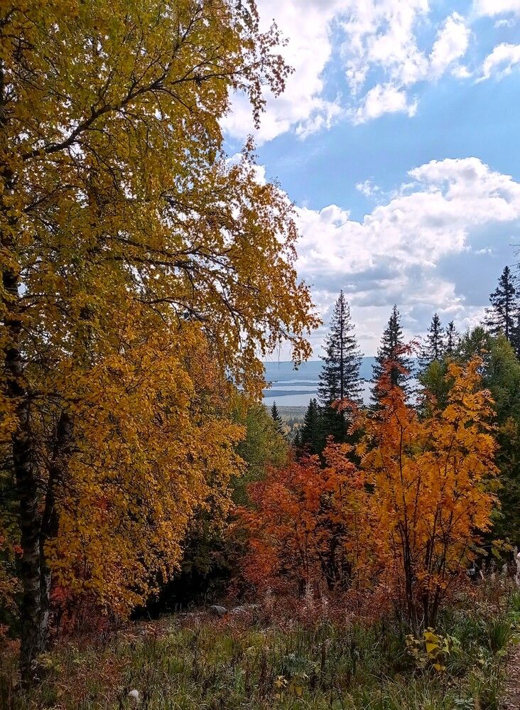 Photograph by Ирина Орлова