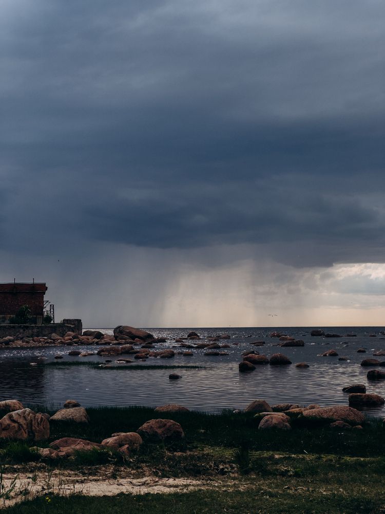 Photograph by Алиса Нежинская