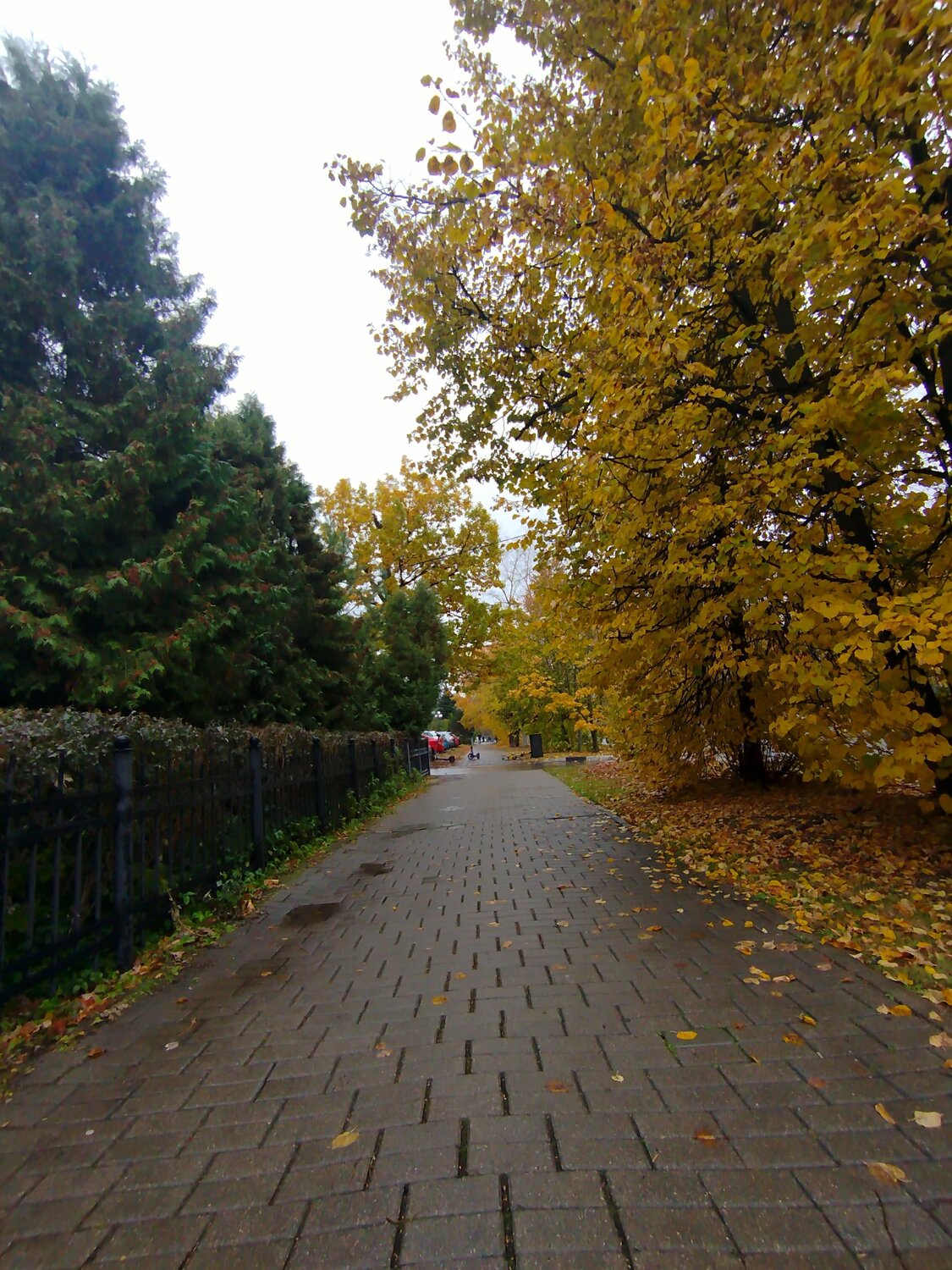 Photo #12689713
