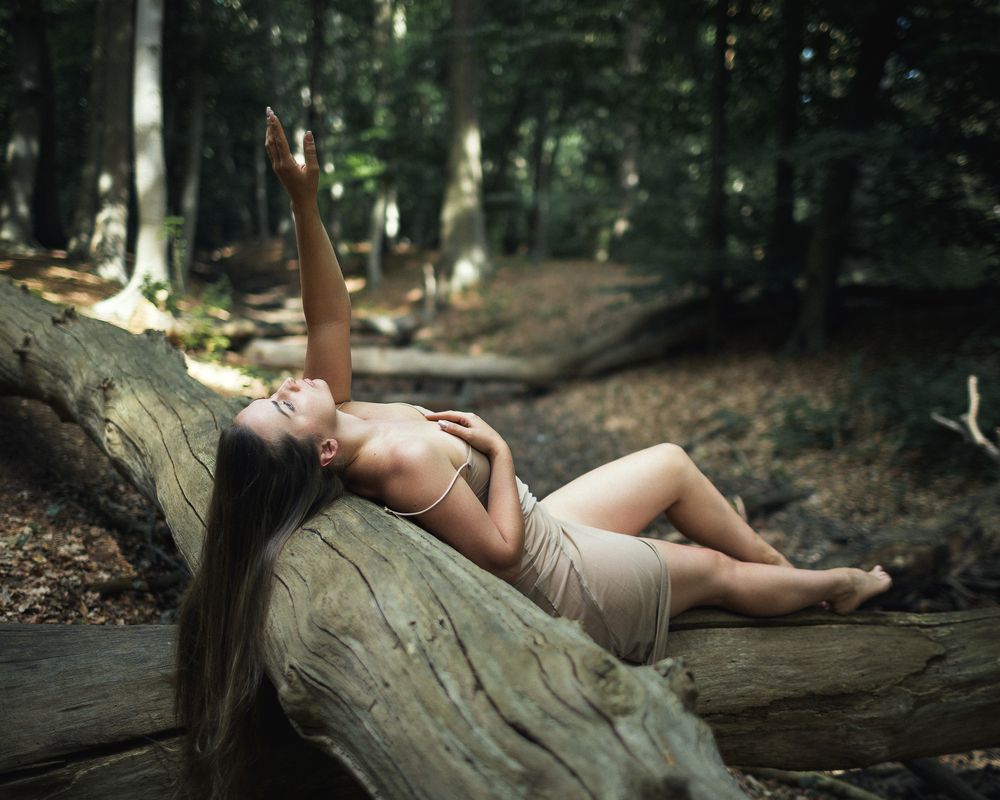 Harmony with Nature