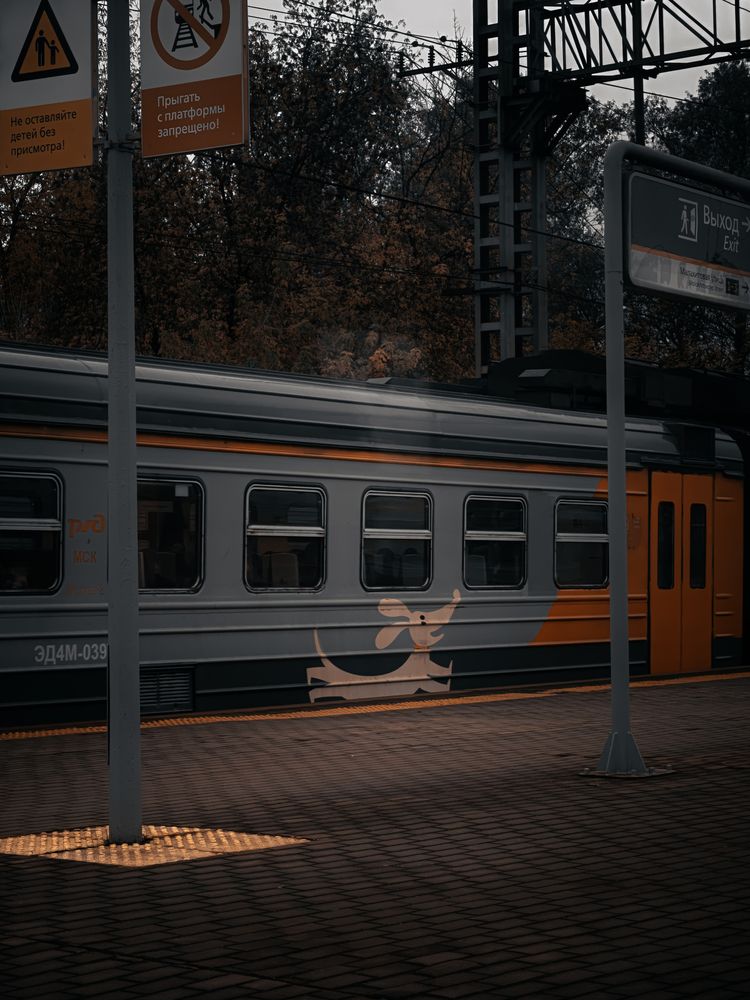 Фотография автора Пучков Андрей