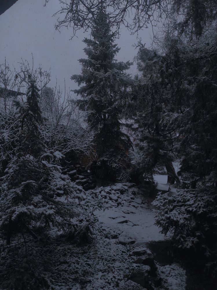 Photograph by Полина Андрейченко