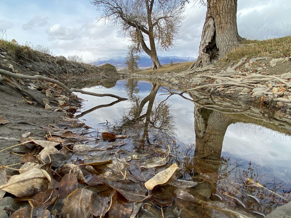 Фотография автора Галина Шиманцова