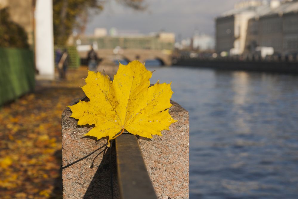 Photograph by Pavel Gukov