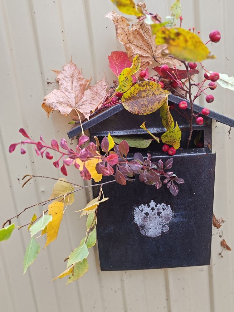 Photograph by Серёга Ануфриев