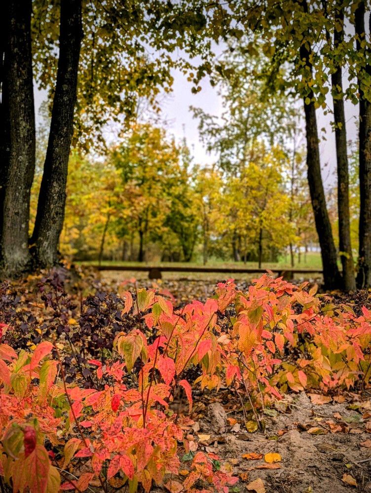 Фотография автора Рузинова Елена