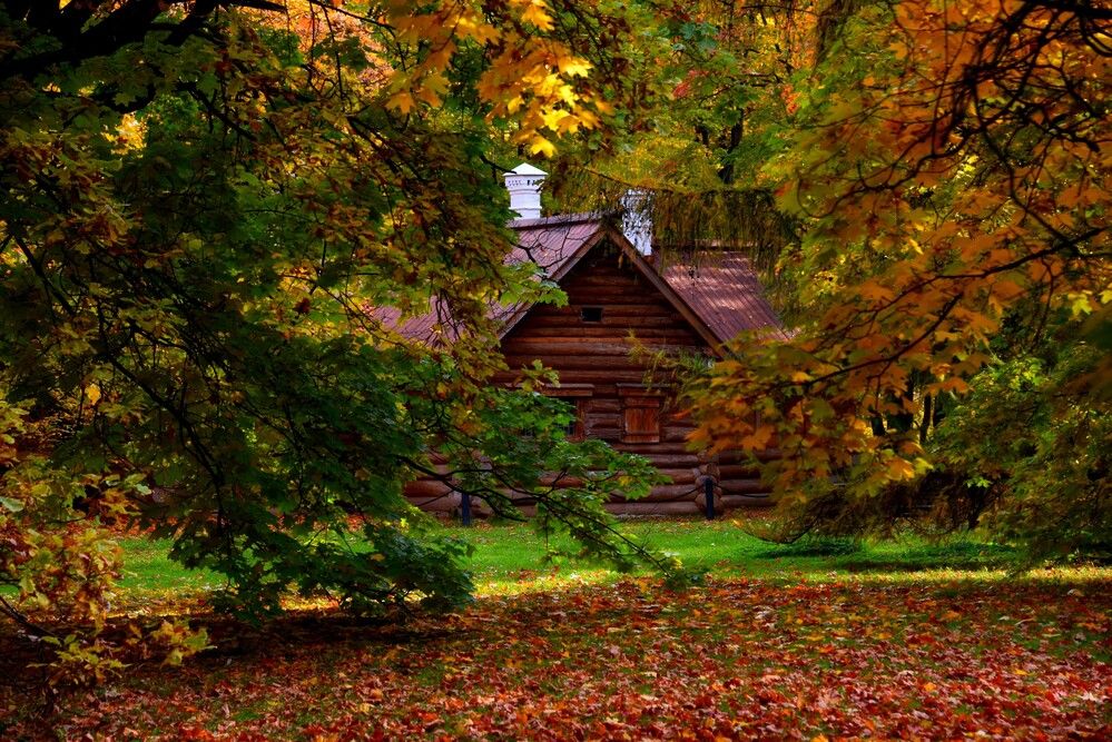 Photograph by Дмитрий Розенбаум