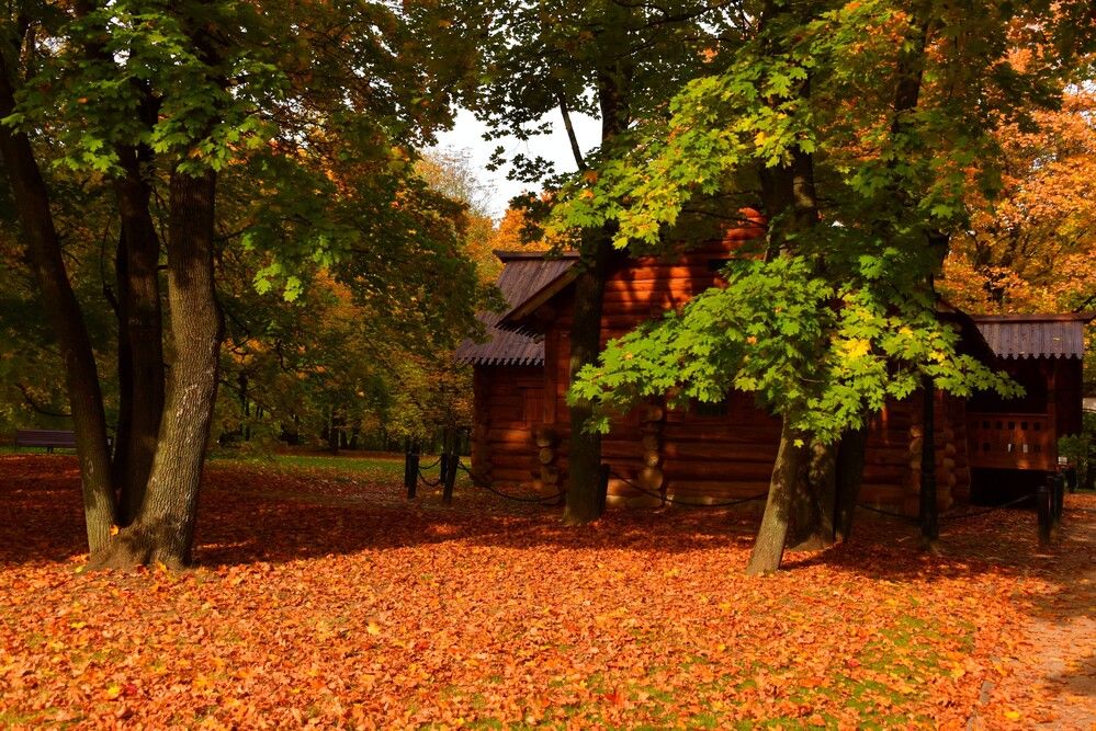 Photograph by Дмитрий Розенбаум