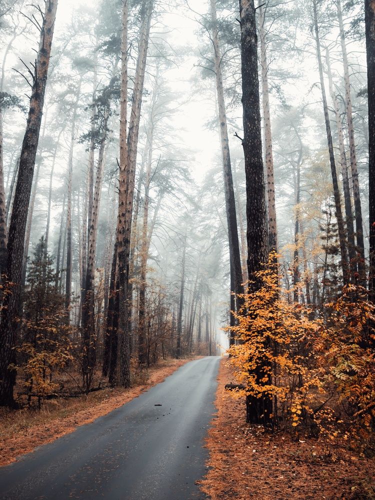 Photograph by Анна Любимова