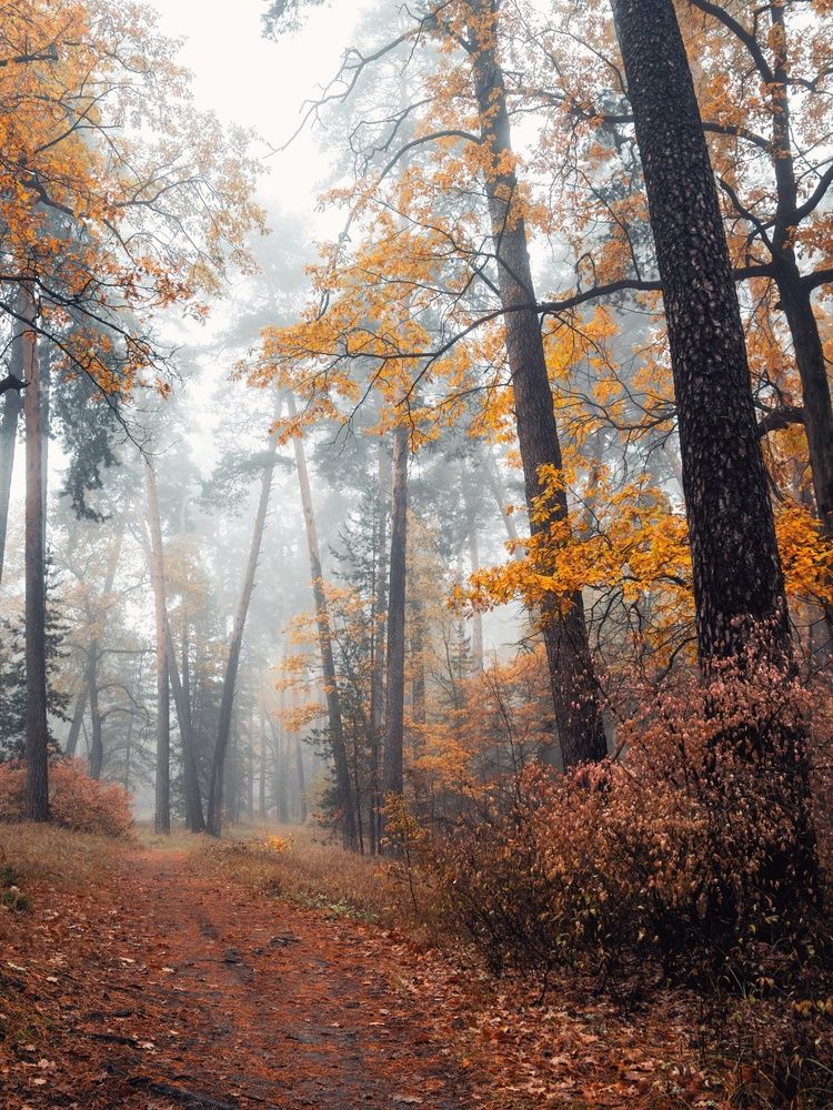 Photograph by Анна Любимова