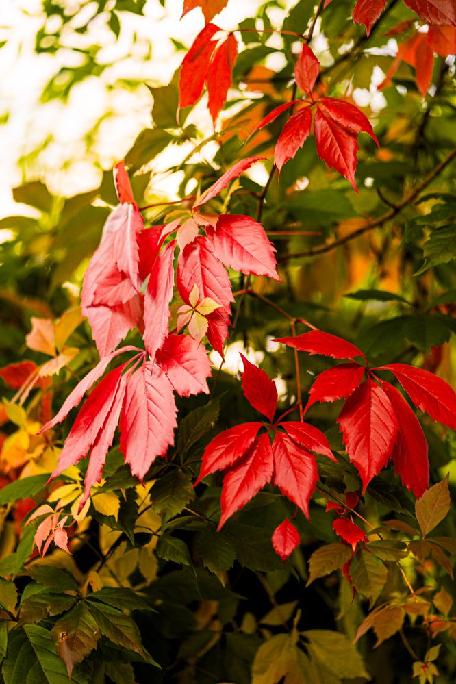 Photograph by Артём Александрович