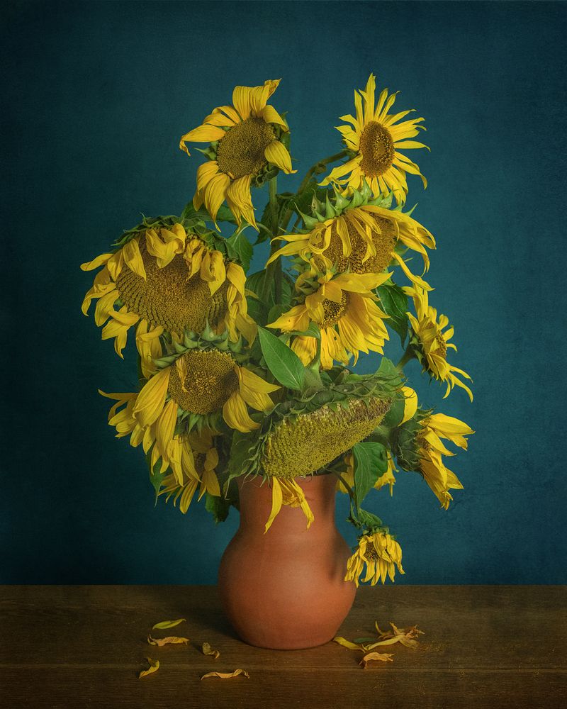 Photograph by Ivanova Ekaterina