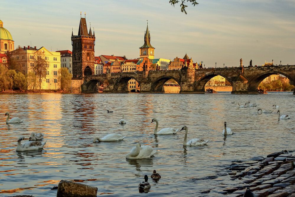 Фотография автора Светлана Долотова