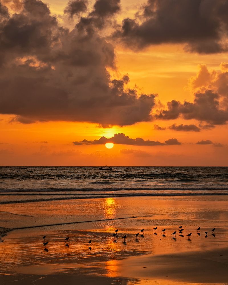 Photograph by Shutterbug Photography