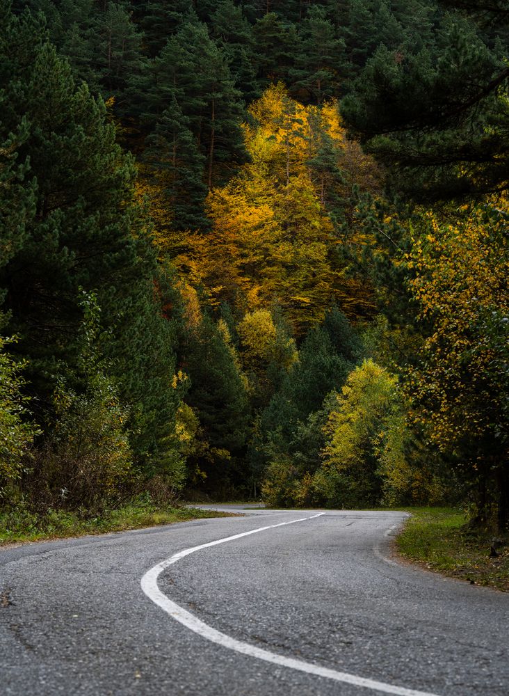 Photograph by Павел Олту