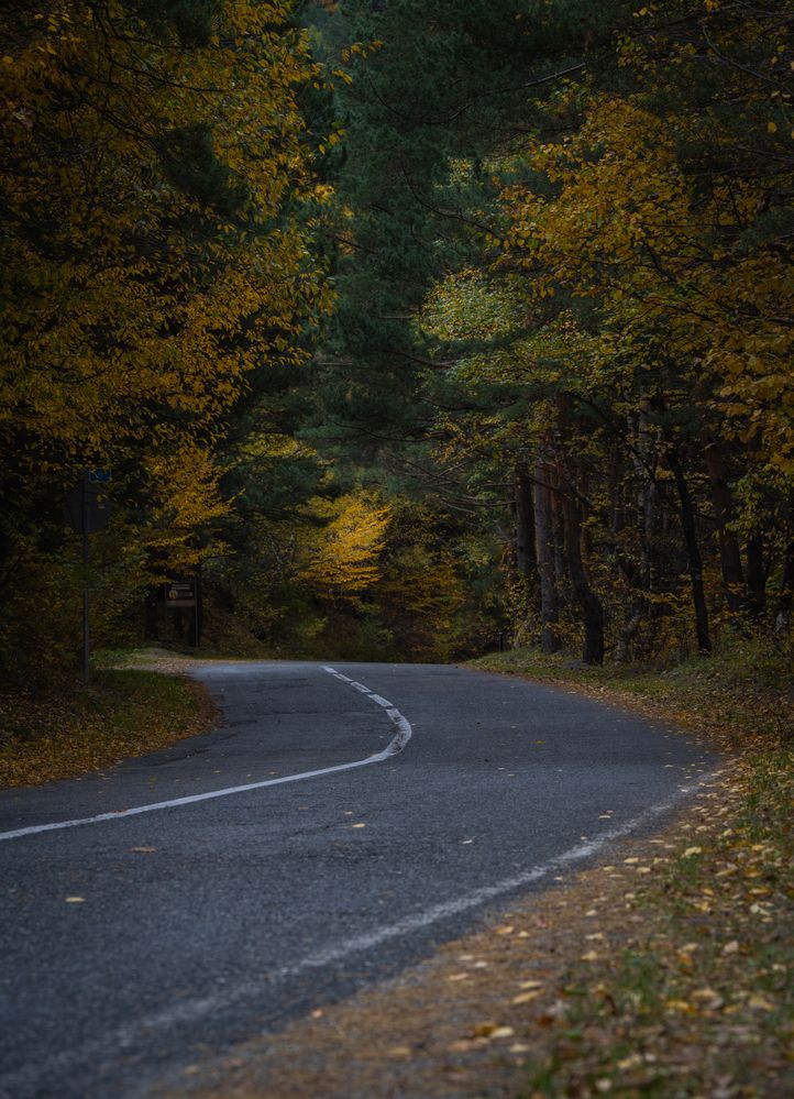 Photograph by Павел Олту