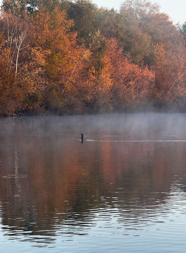 Photograph by Сергей Хранитель