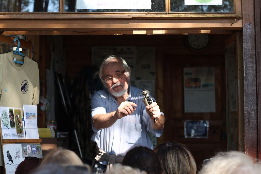 Photograph by Кристина Альшанская
