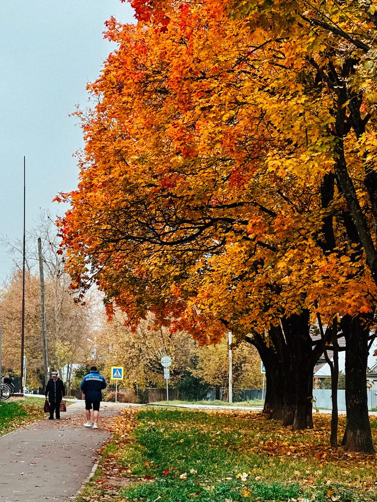 Photograph by Елена Брижеватая