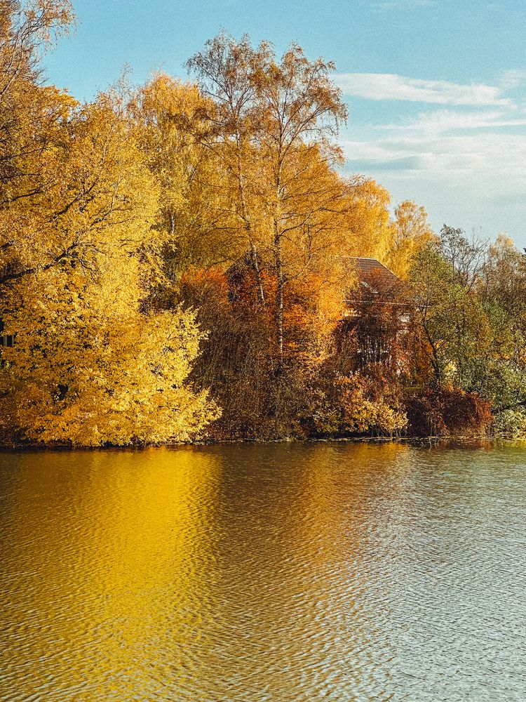 Photograph by Елена Брижеватая