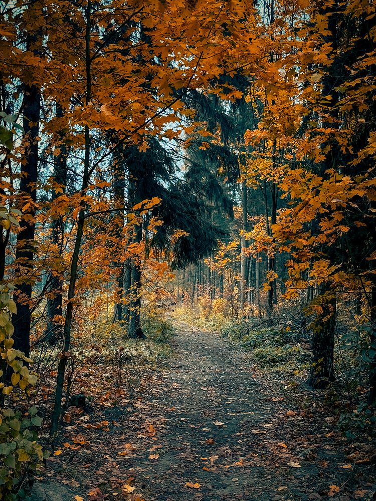 Photograph by Елена Брижеватая