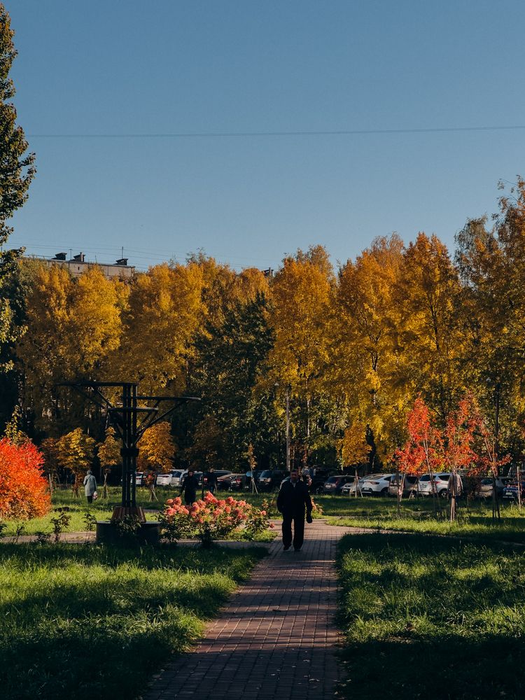 Photograph by ALISA NEZHINSKAYA
