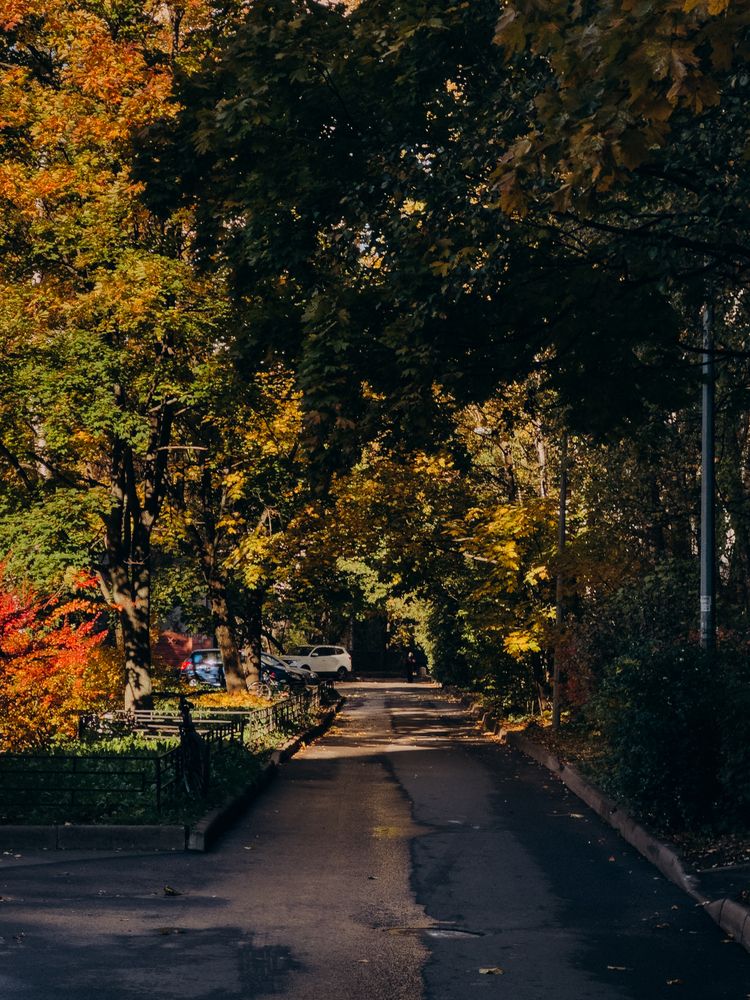 Photograph by ALISA NEZHINSKAYA