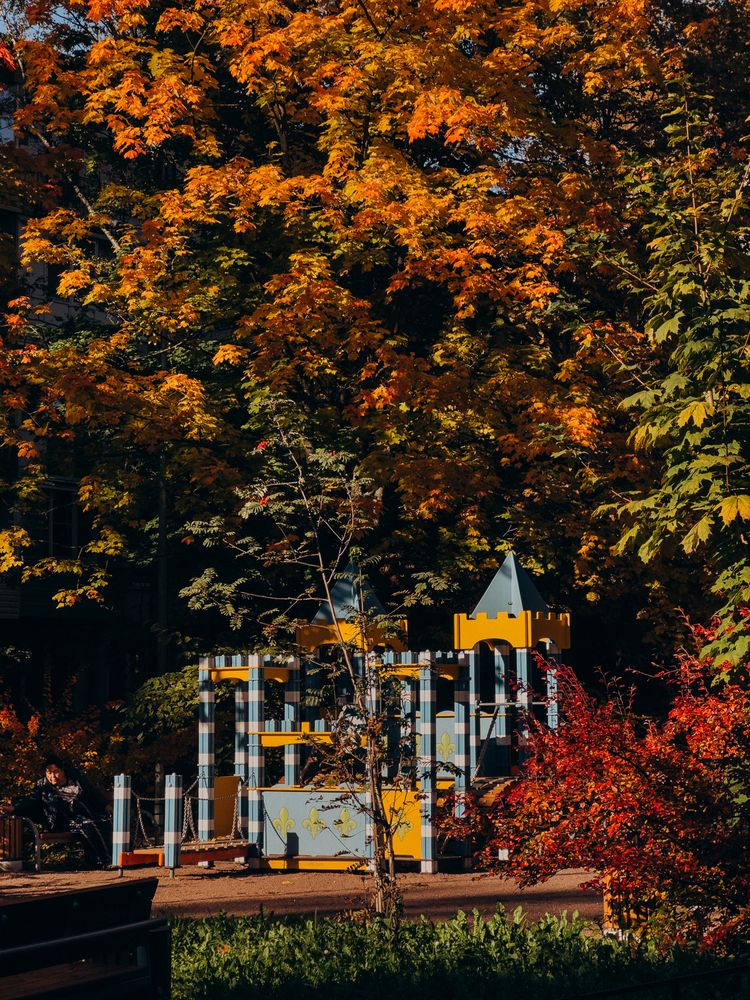 Photograph by ALISA NEZHINSKAYA