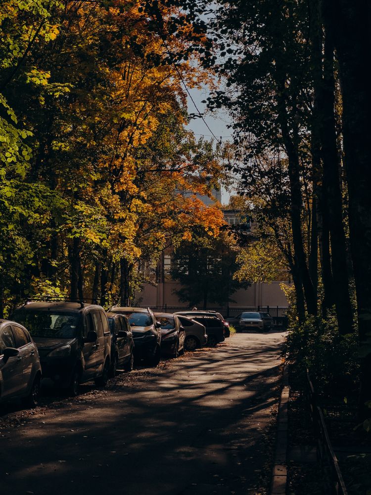 Photograph by ALISA NEZHINSKAYA