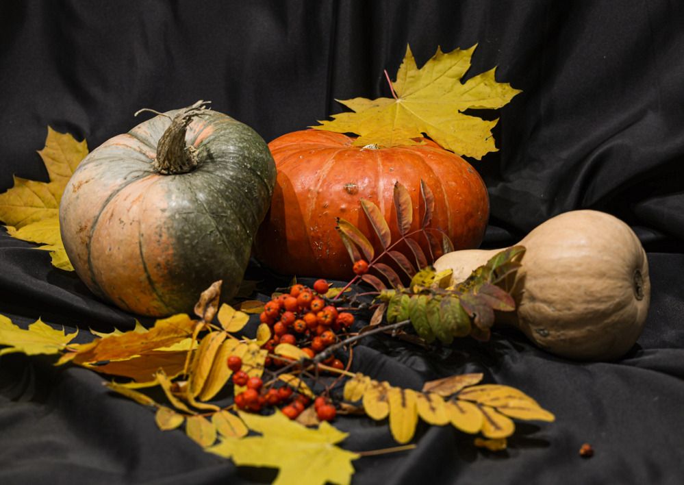 Photograph by Анна Реснина