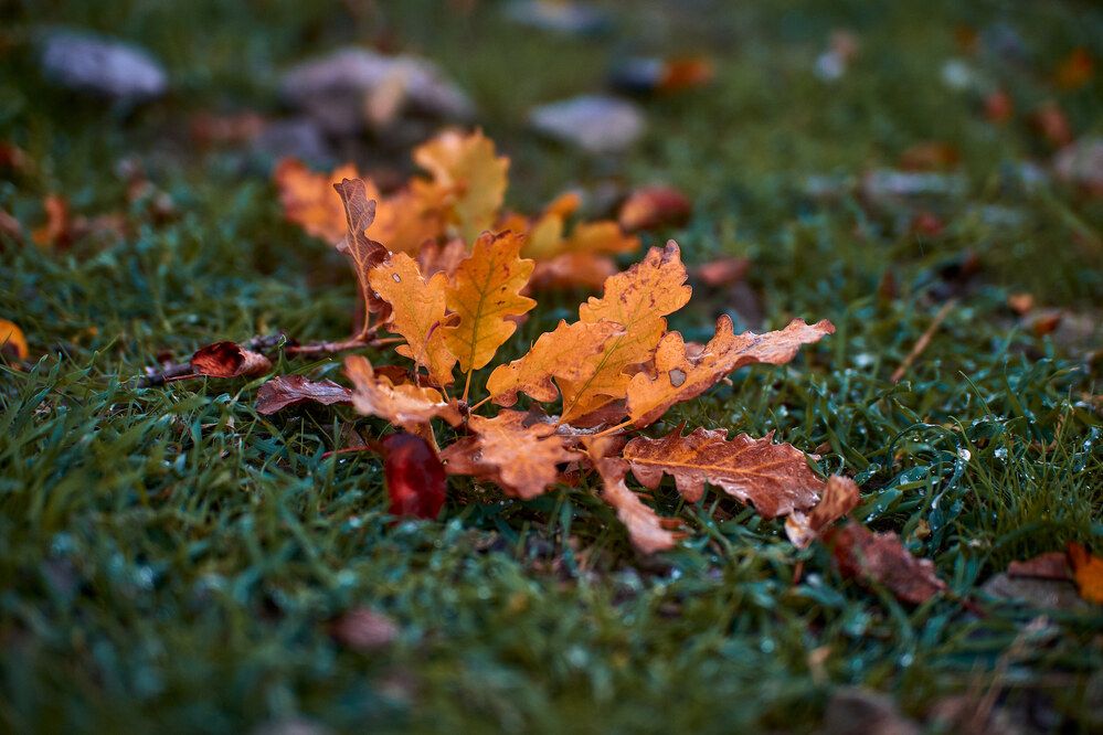 Photograph by Сергей Яблоков