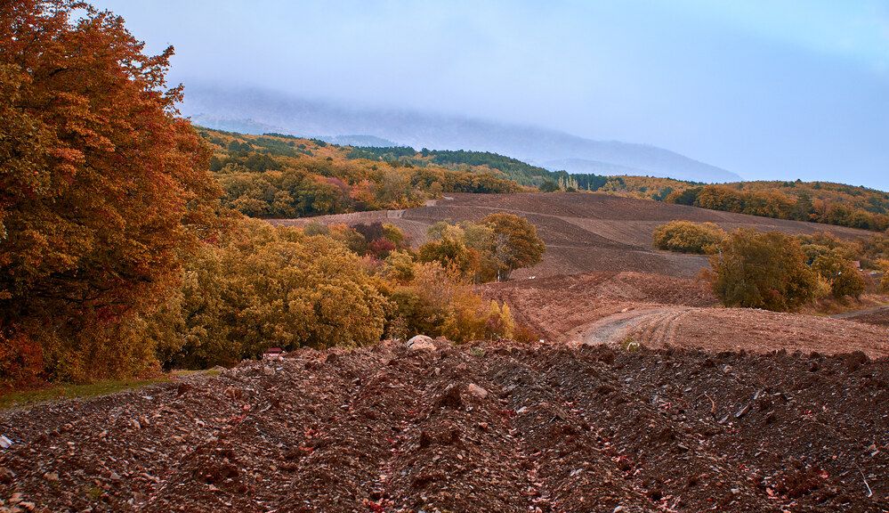 Photograph by Сергей Яблоков