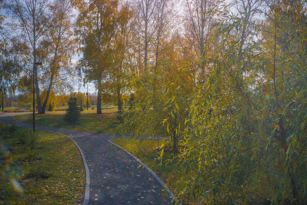 Фотография автора Максим Грибанов