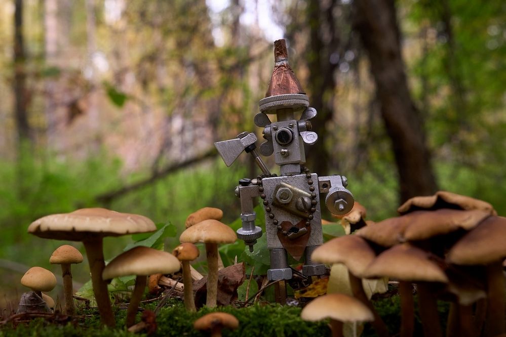 Фотография автора Владимир