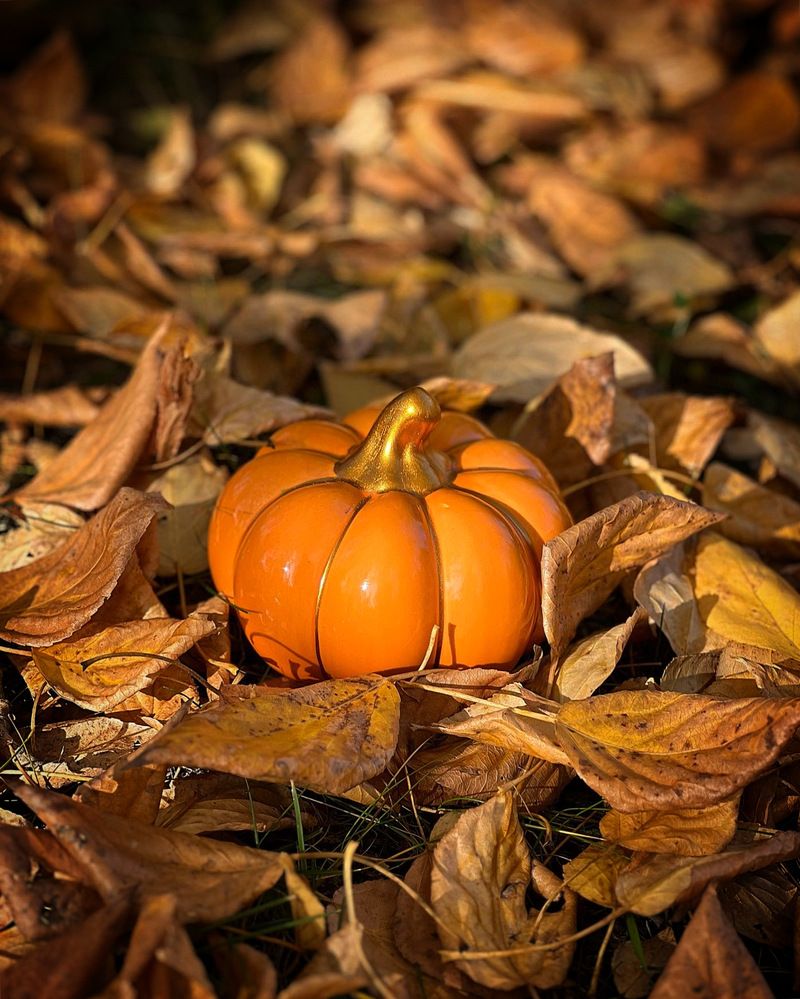 Photograph by Татьяна Волохова