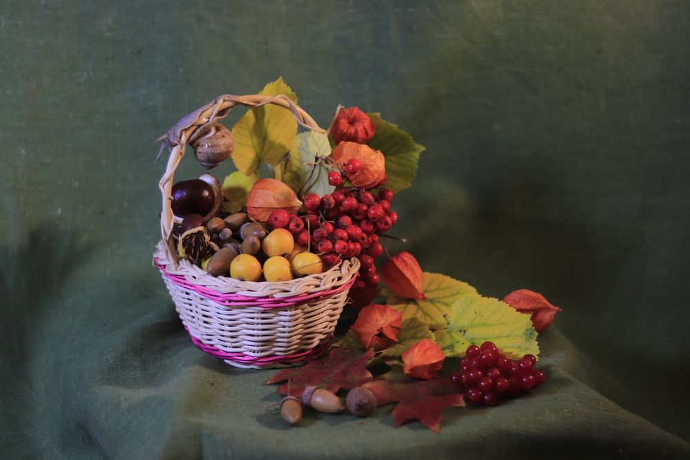 Photograph by Светлана Соколова