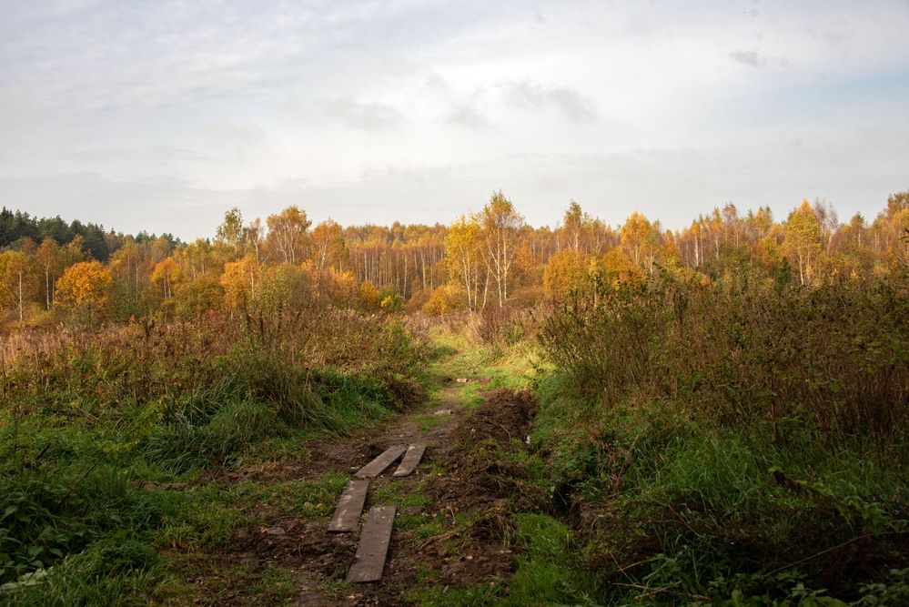 Photograph by Дария Ризниченко