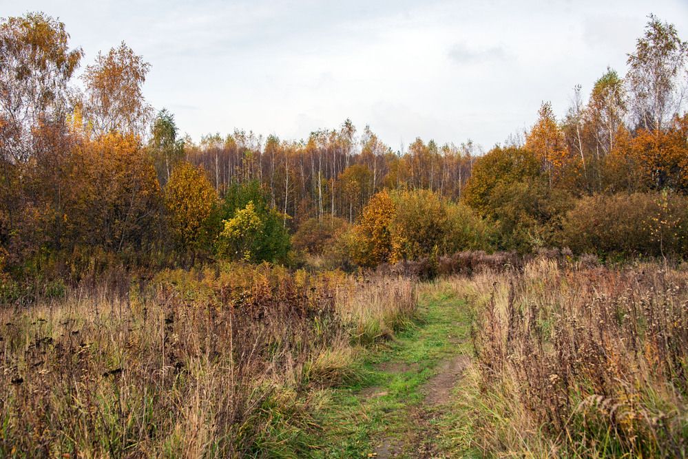 Photograph by Дария Ризниченко