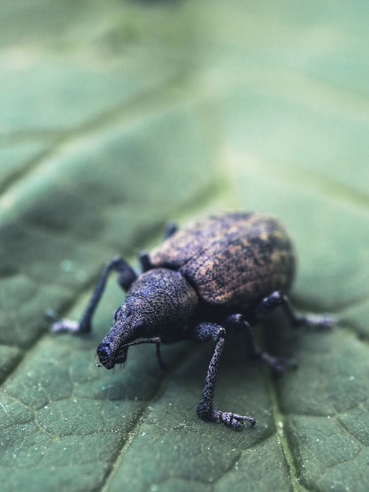 Photograph by Ирина Корабельникова