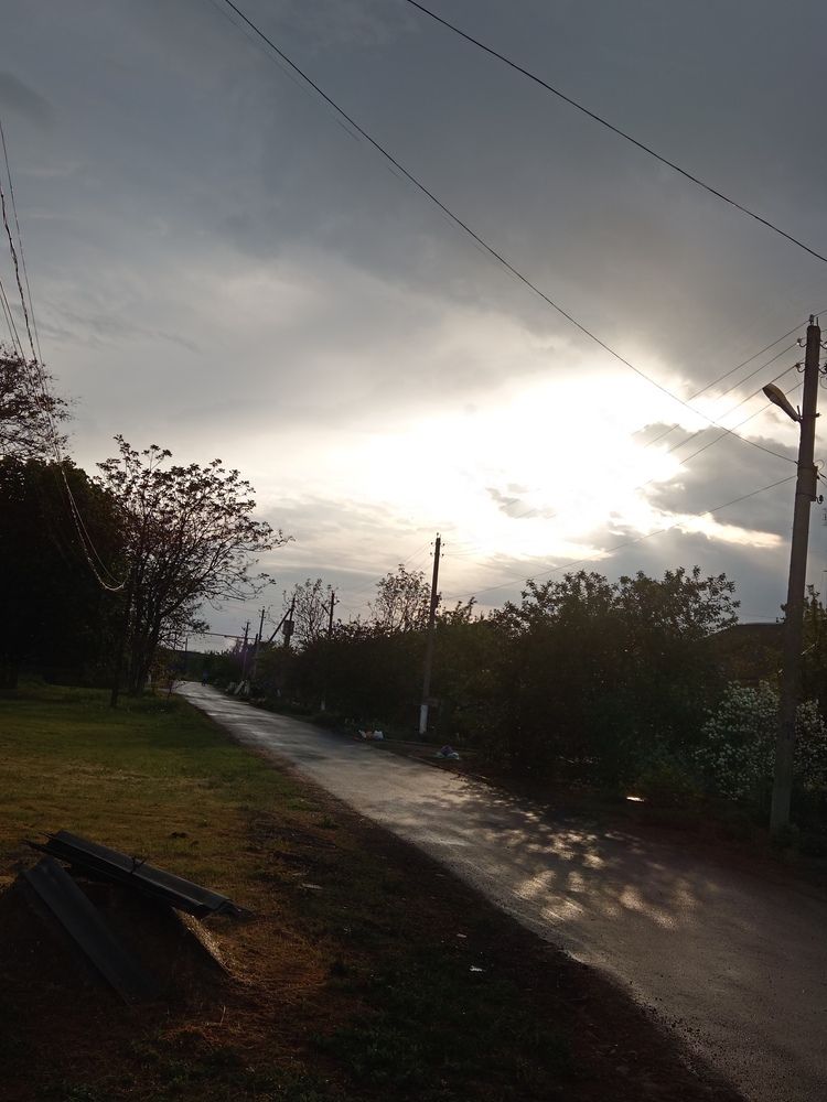 Photo #12690459