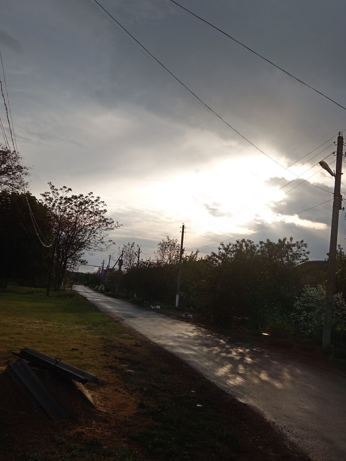 Photo #12690459