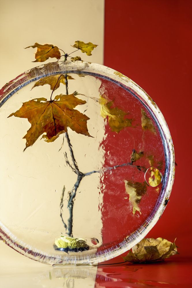 Photograph by Margarita