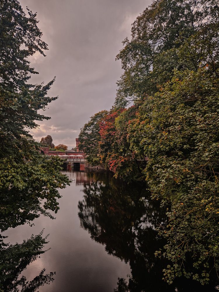 Photograph by Кристина Альшанская