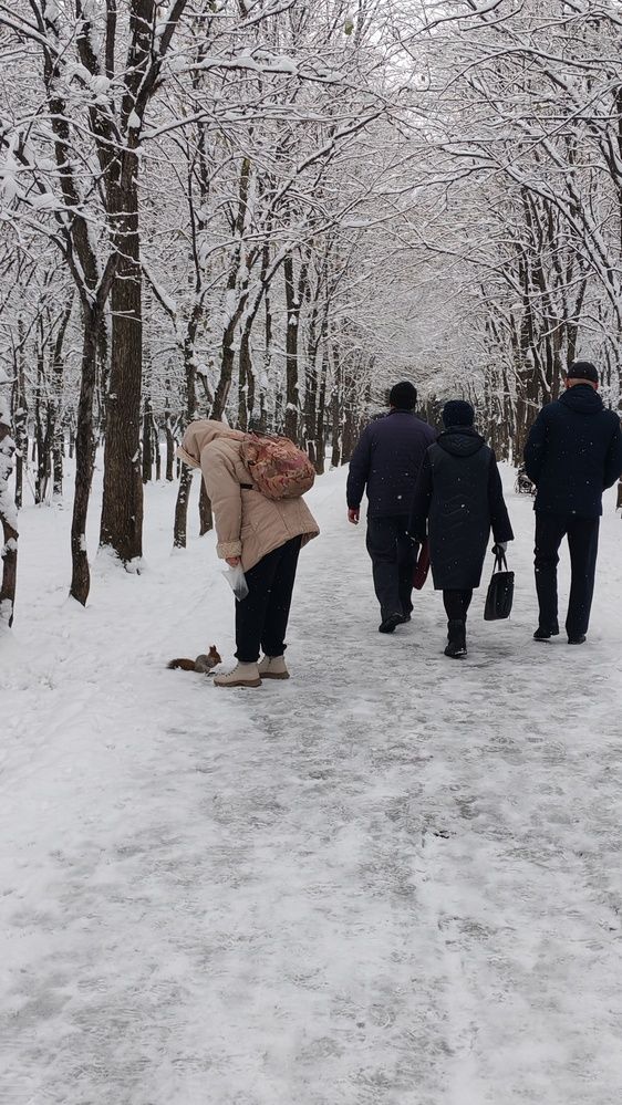 Фотография автора Наталья Шендяпина