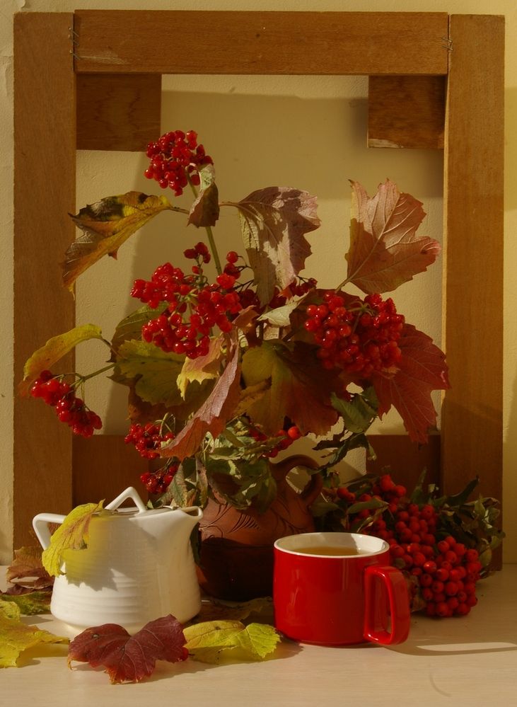 Photograph by Елена Алешкевич