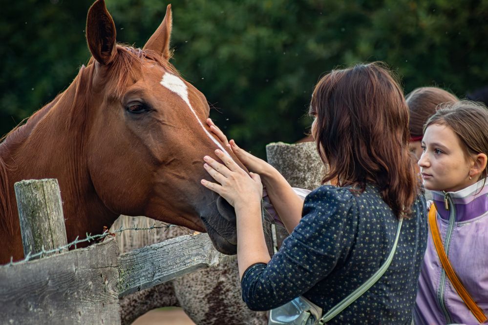Photograph by Людмила Александровна