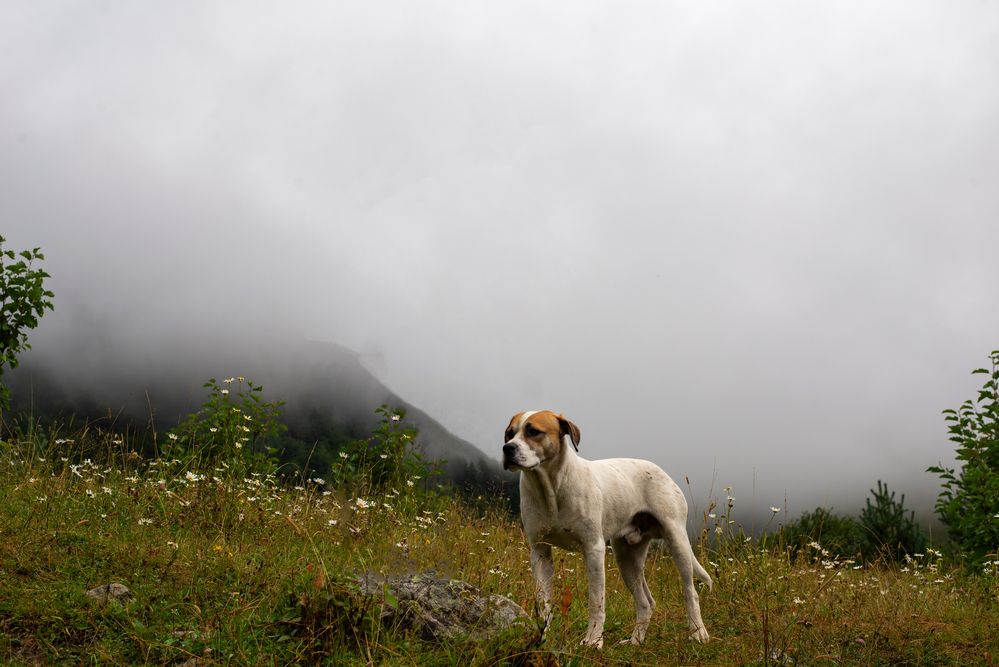 Photograph by Кирилл Ермоленко