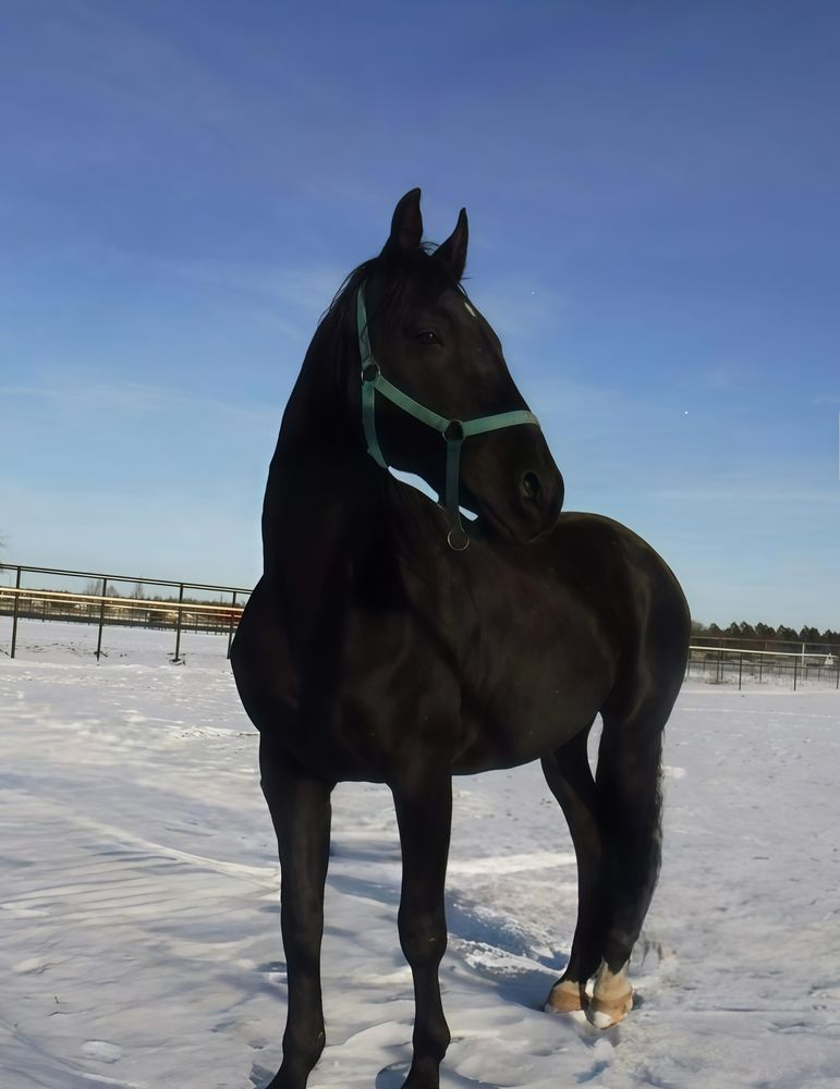 Photograph by Елена Сухорученкова