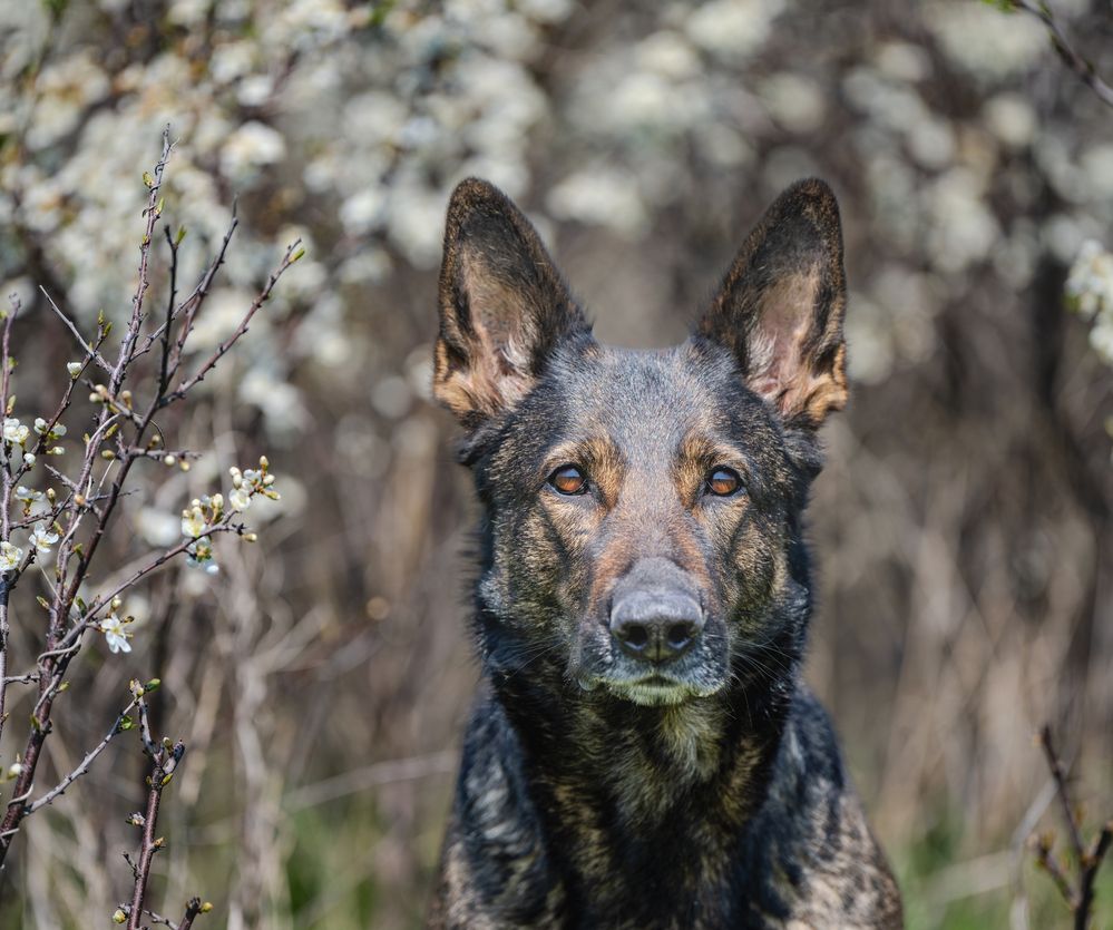 Photograph by Сергей Жиркевич